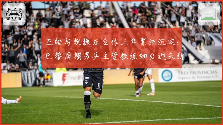 王皓与樊振东合作三年累积沉淀,巴黎周期男乒主管教练细分迎来新局