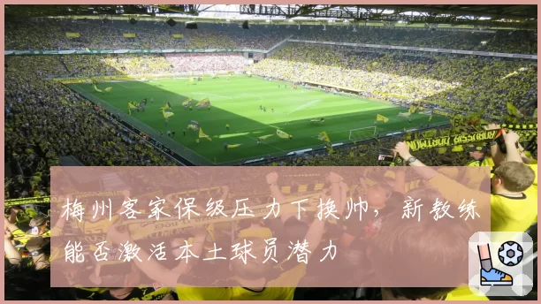梅州客家保级压力下换帅，新教练能否激活本土球员潜力