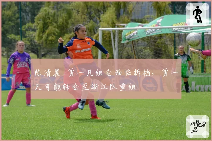 陈清晨_贾一凡组合面临拆档，贾一凡可能转会至浙江队重组