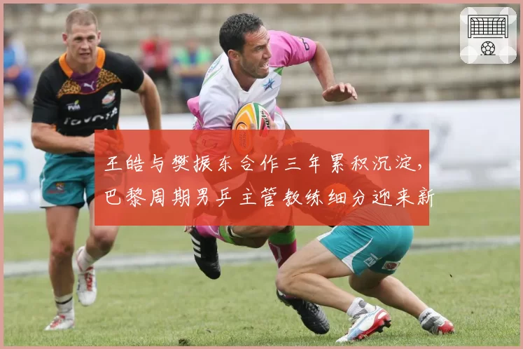 王皓与樊振东合作三年累积沉淀,巴黎周期男乒主管教练细分迎来新局